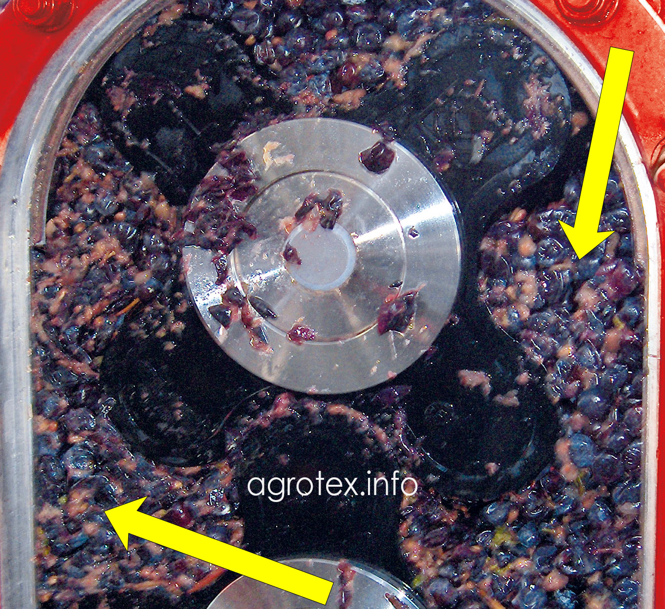 Перекачування виноградної мезги. Відкрита робоча камера роторного насосу Vogelsang VY-серії
